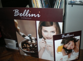 13-vinilo impreso full color sobre pvc