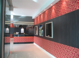 20-decoracion sobre pared en vinilo impreso